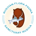 RFF Logo colour 125x125 px