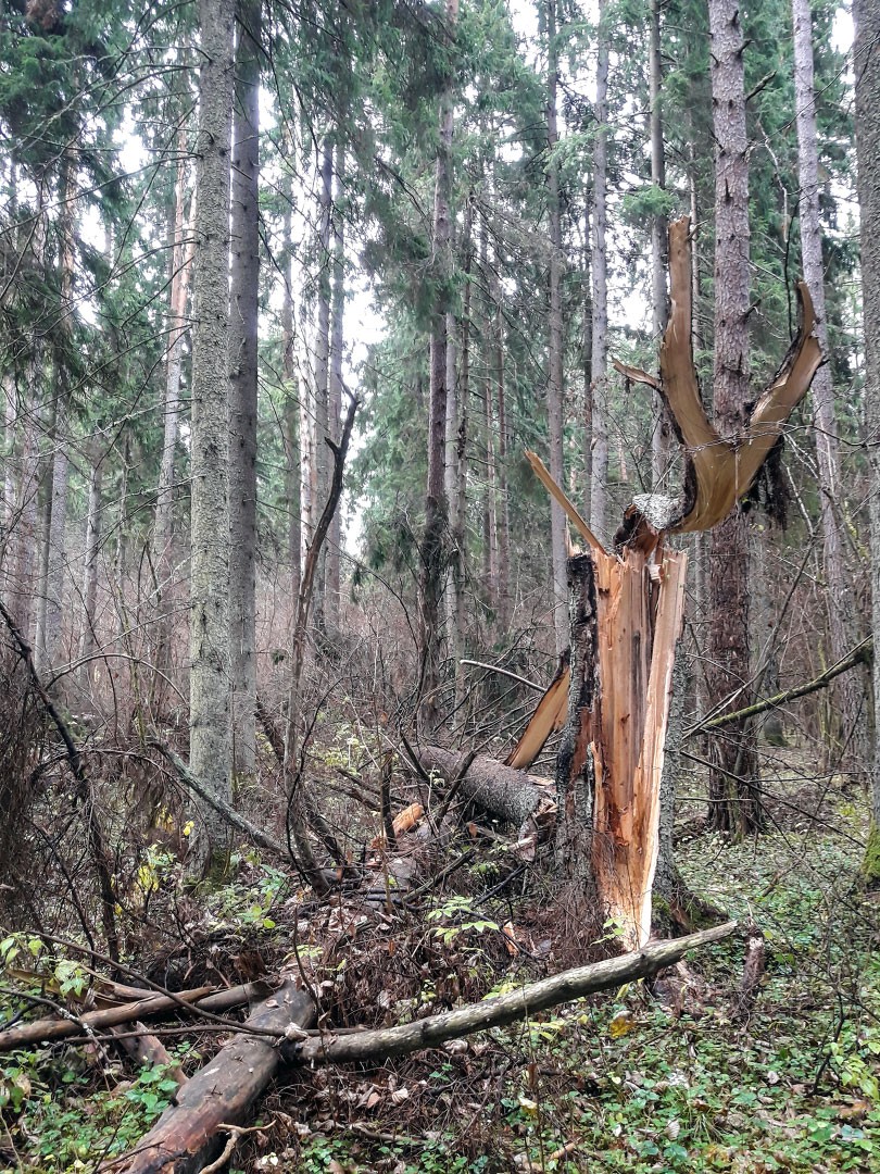 …и в обход не пройти